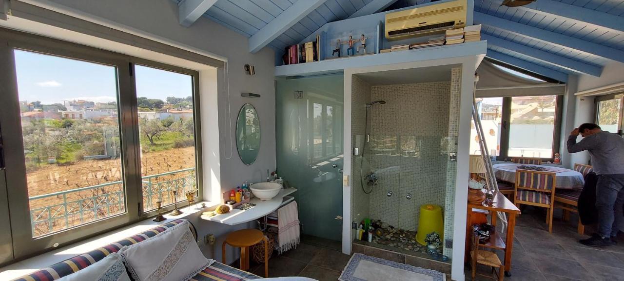 דירות ארטמידה Lenia'S Loft מראה חיצוני תמונה
